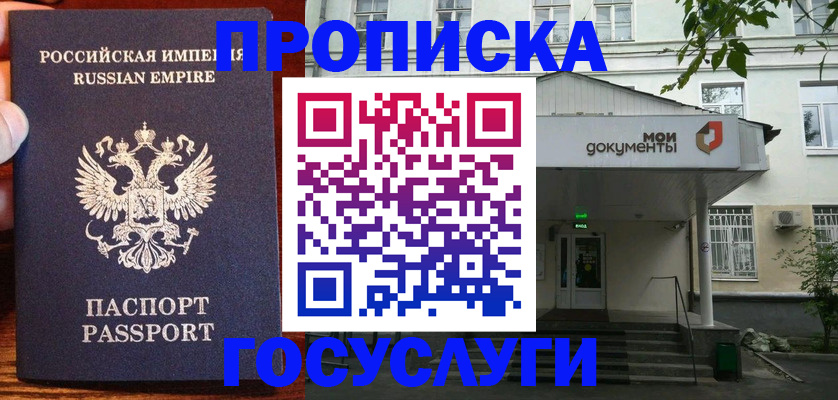 временная регистрация гарантия в Камчатской области